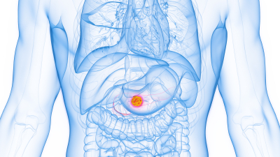 Diagram with red dot identifying the location of the pancreas